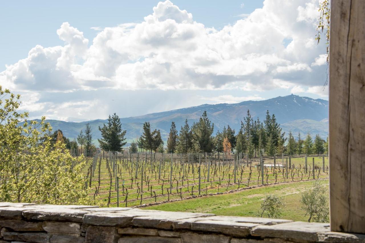 Bed and Breakfast Grey Ridge Vineyard Experience Alexandra Zewnętrze zdjęcie